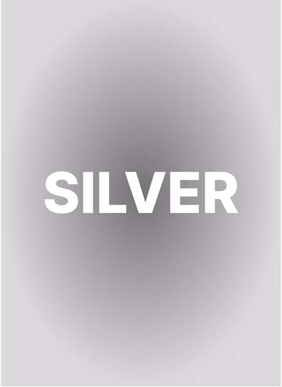 LOYALTY PROGRAM - CHAMELEON CLUB - PAGE - GRID - ROW3 [TABS MODULE] - COL - M4 - TABS - TAB SILVER - CAROUSEL - IMG 1