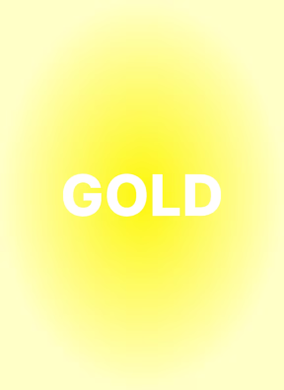 LOYALTY PROGRAM - CHAMELEON CLUB - PAGE - GRID - ROW3 [TABS MODULE] - COL - M4 - TABS - TAB GOLD - IMG 1