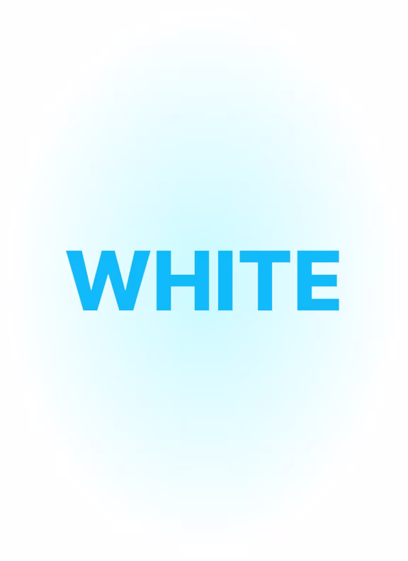LOYALTY PROGRAM - CHAMELEON CLUB - PAGE - GRID - ROW3 [TABS MODULE] - COL - M4 - TABS - TAB WHITE - CAROUSEL - WHITE