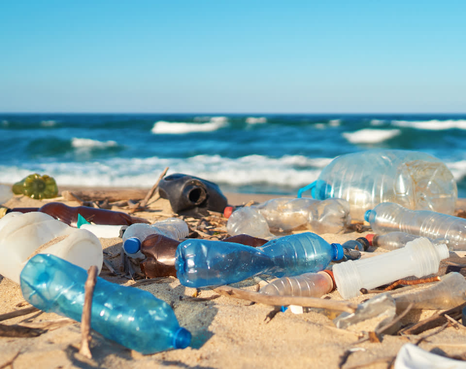 environmental_pollutants_960x760