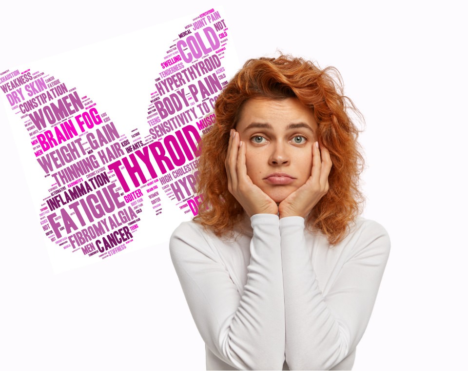 shatavari_thyroid_testsplit