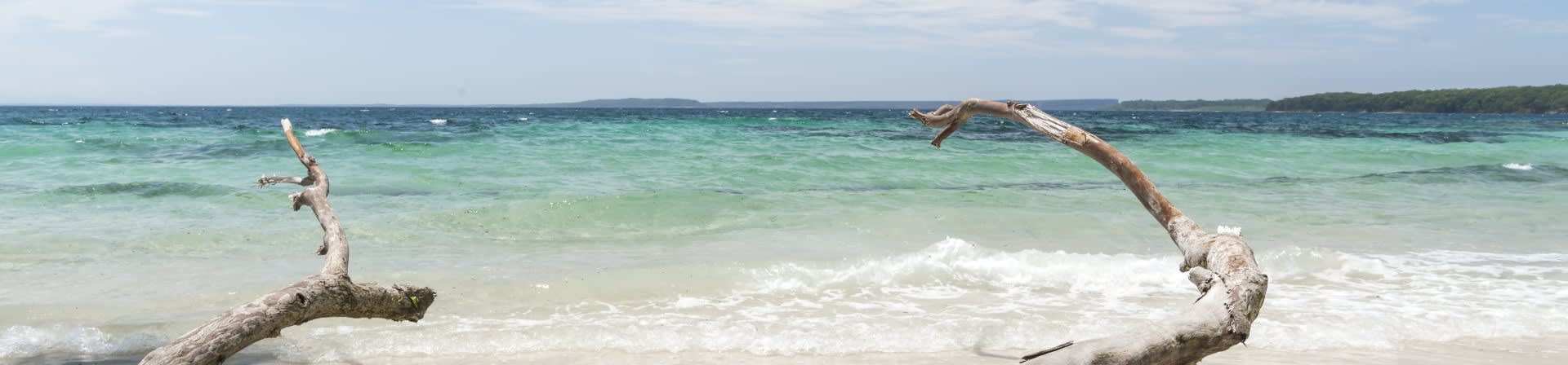 Vitamin D Blog banner