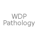 wdp-pathology-logo-i-screen