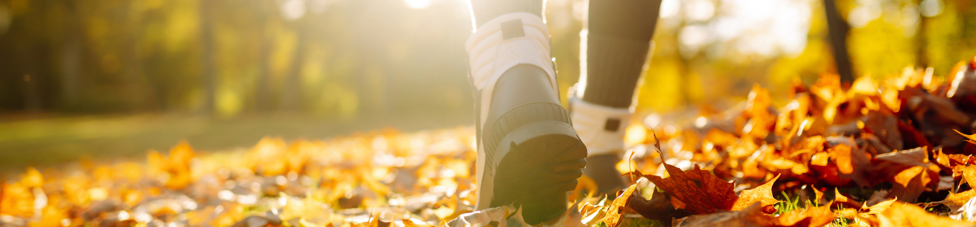 walking_leaves_blog_banner