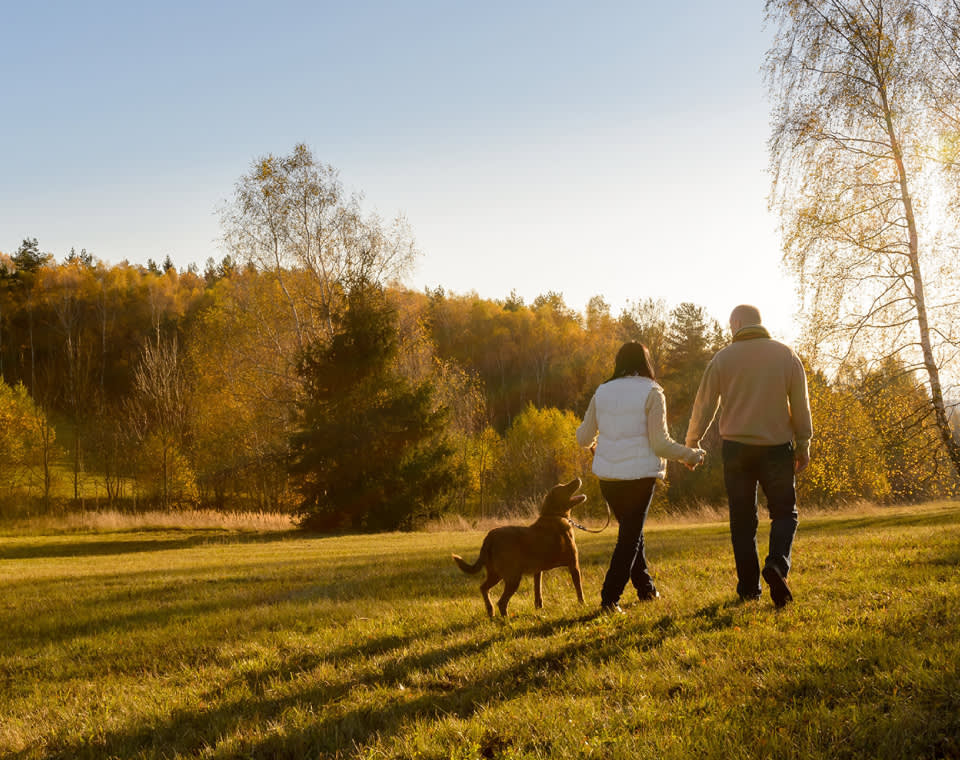 man-and-woman-walking-in-park-small-i-screen