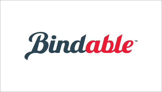 blog-image-20221115-logo-bindable-560w