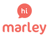 Hi Marley Partner Logo
