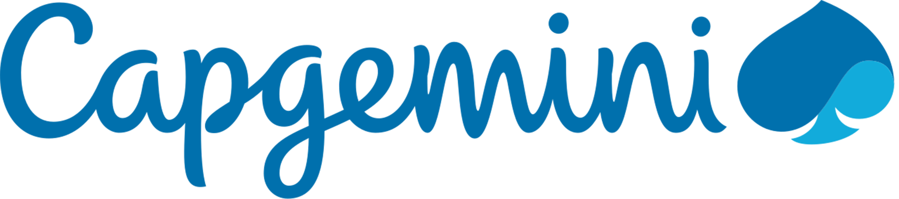 FR Capgemini Partner logo