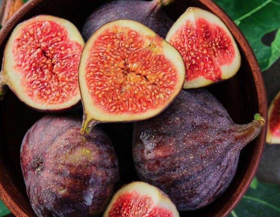 Figs- Canva 