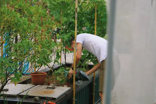 Fresno's Urban Farming Initiative Gains Momentum