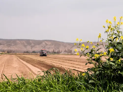 Ventura County's Agribusiness Faces Climate Challenges