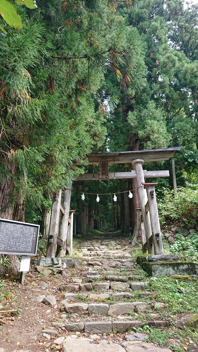 小菅神社