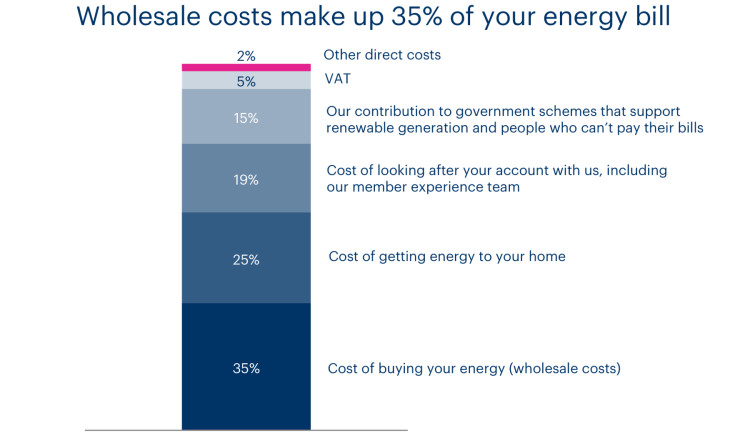 A chart which shows the breakdown of a typical energy bill. Wholesale costs make up 35% of the bill.