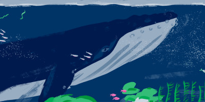 Illustration of a blue whale doing its thing.