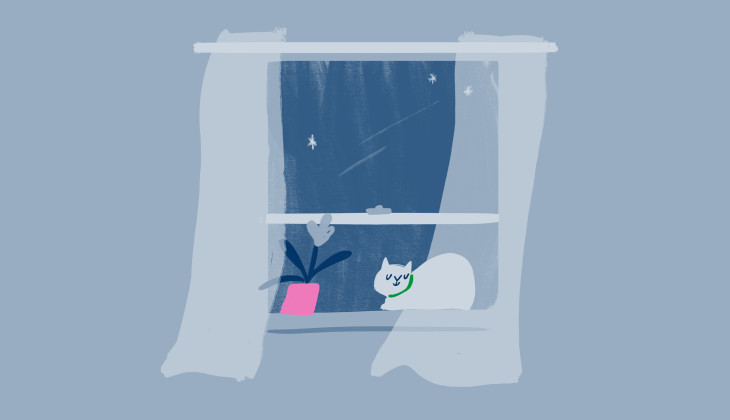 A cat sat by an open window, enjoying the fresh breeze.