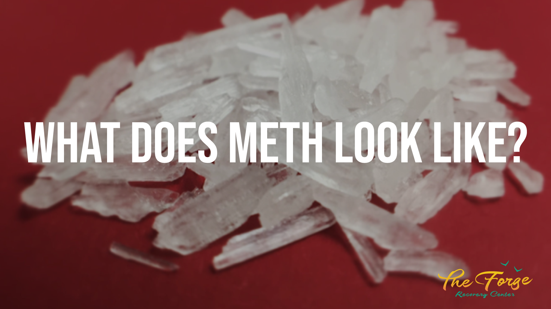 How to Identify Meth: What Does Meth Look Like?