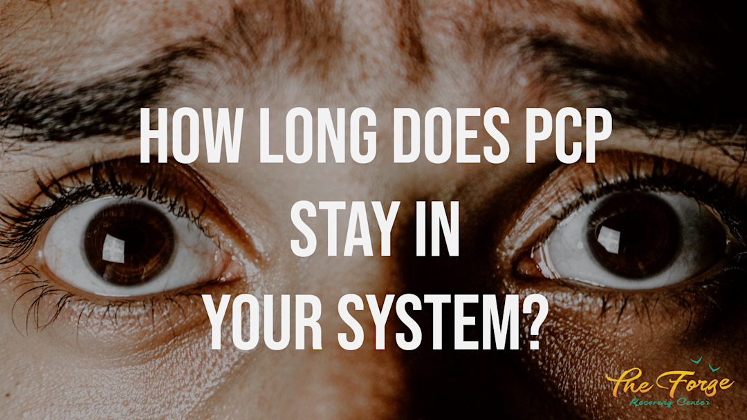 Factor Pcp PCP: How Long Does PCP Stay in Your System? Exploring Detection Times ...