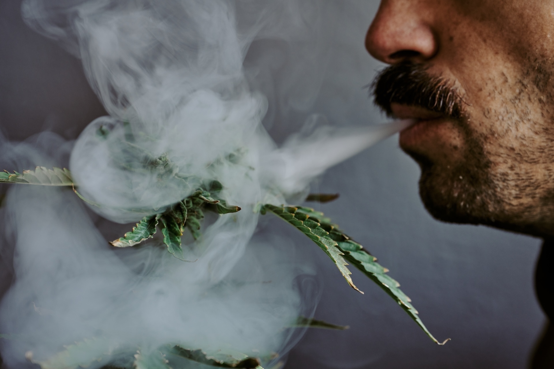 what can tobacco do to your brain Brain damage can curb urge to smoke