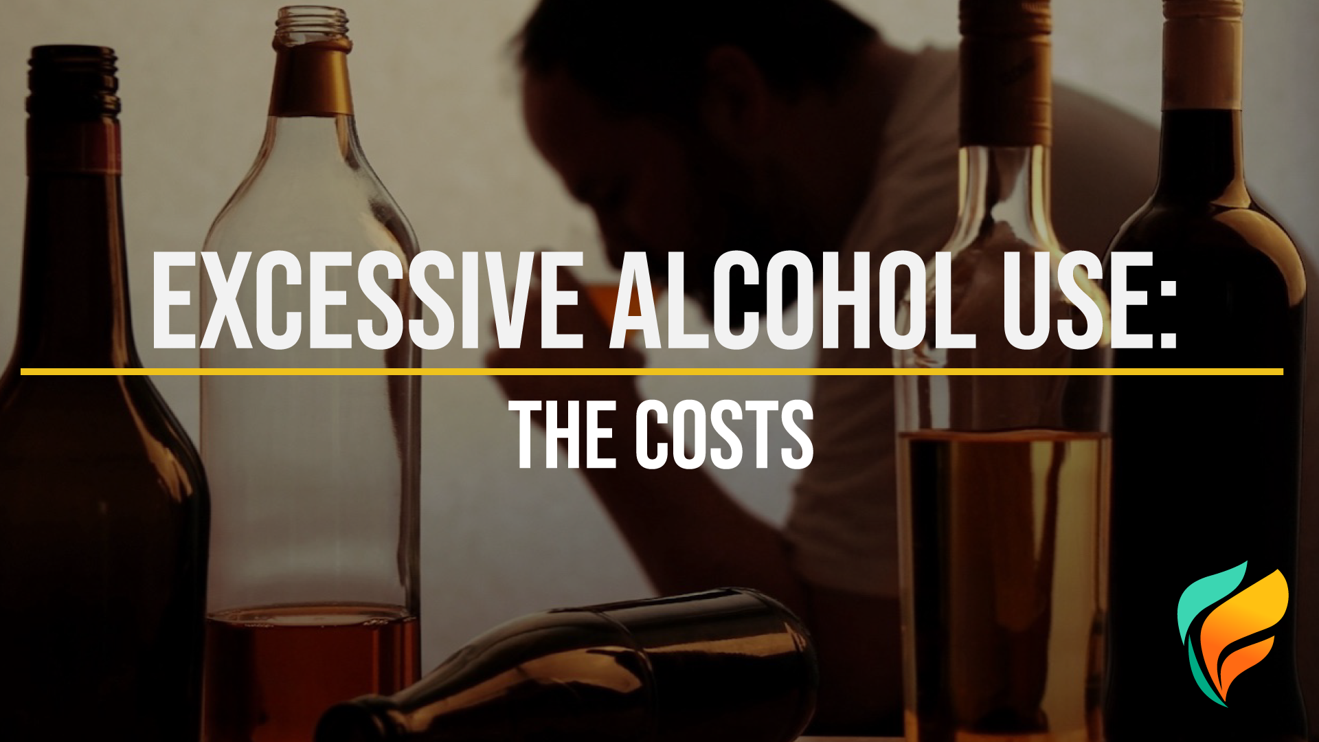 Excessive Alcohol Use: The Costs & More