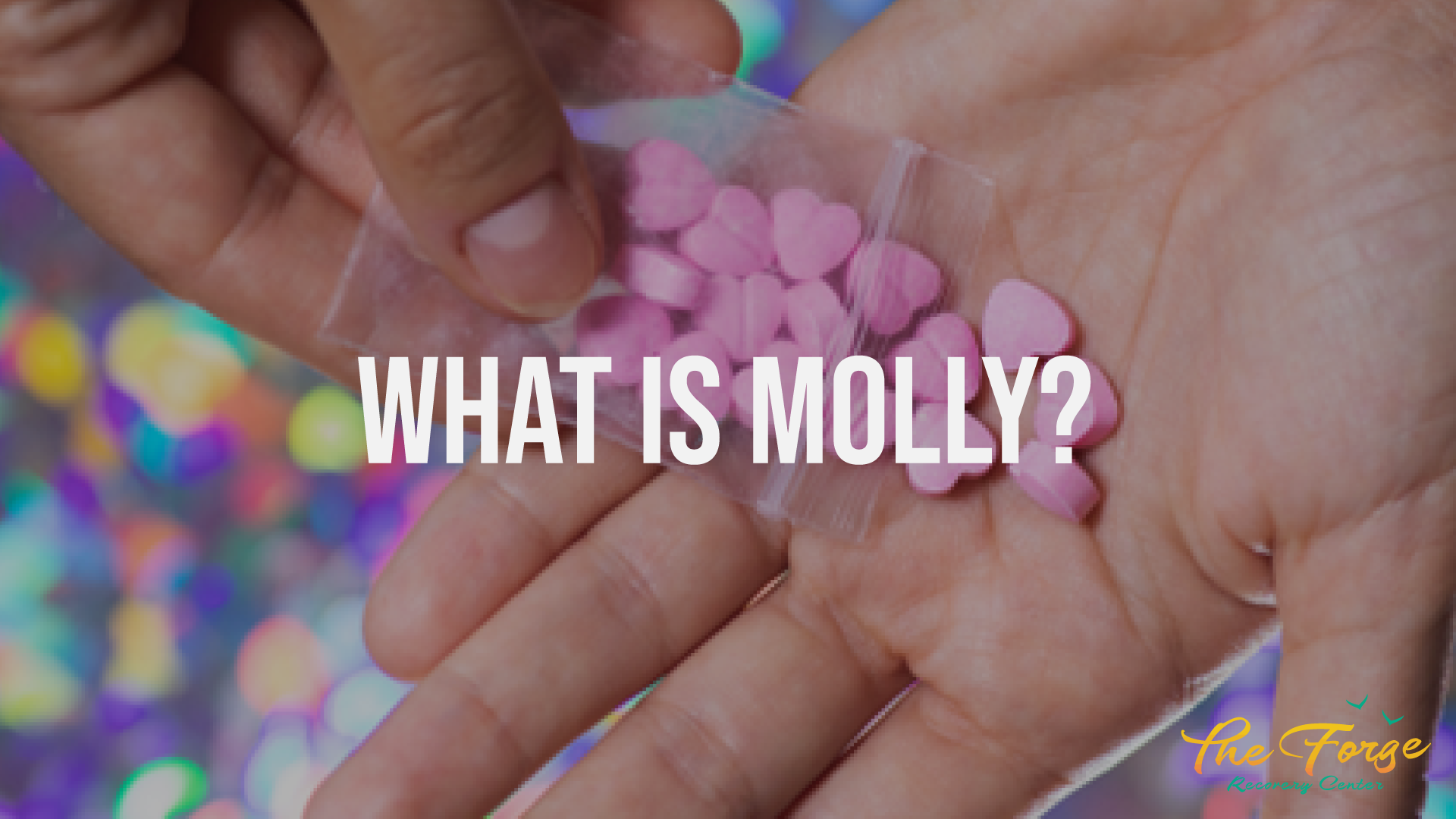 Molly: What it is, What it Looks Like, & Why it’s Dangerous