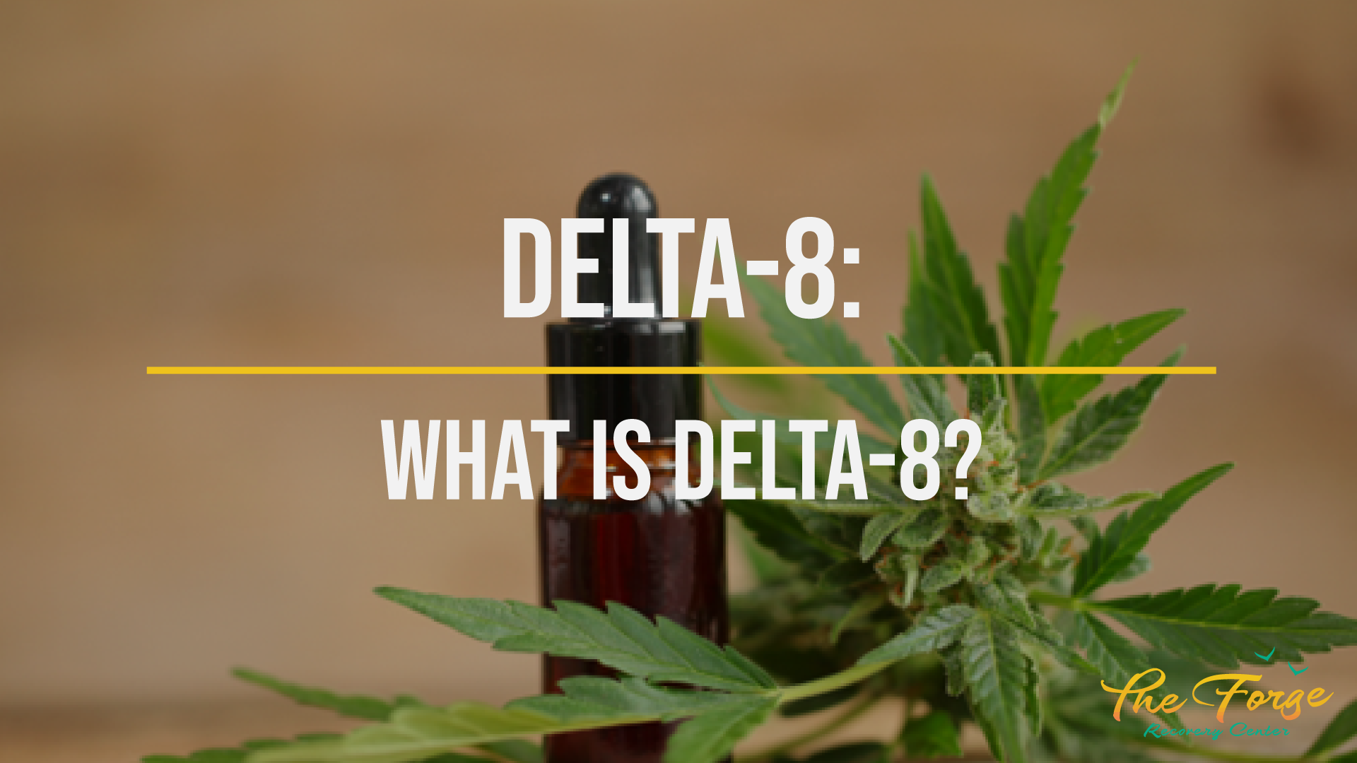 How Long Does a Delta8 High Last?