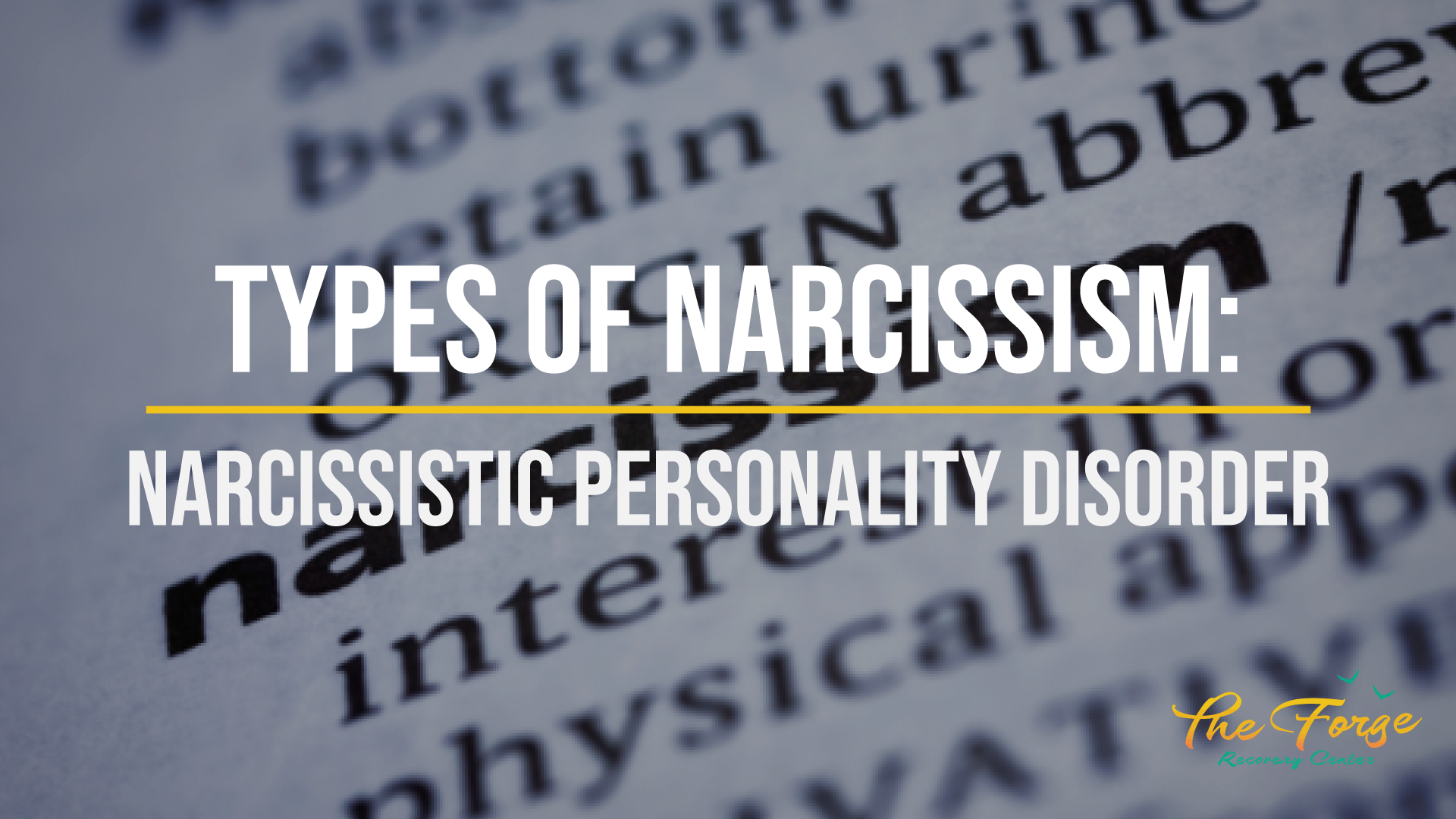 Types of Narcissism: Do You Know the Types of Narcissistic Personality ...