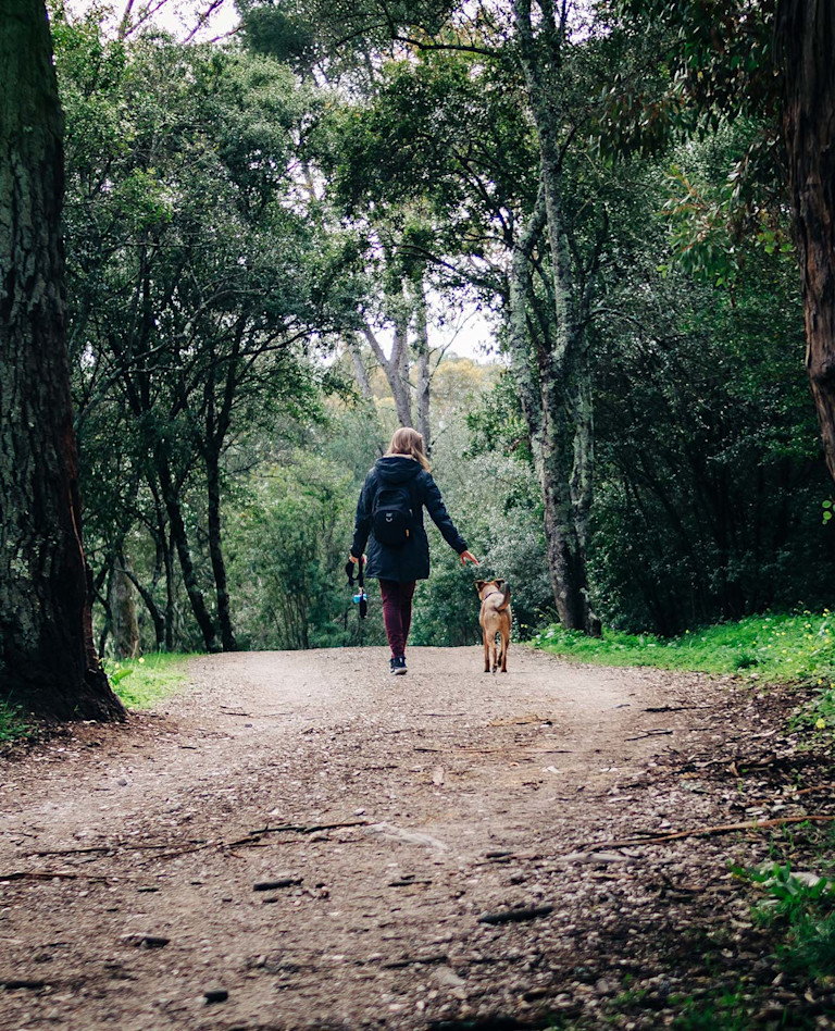 South River Where life unfolds. New Elora Homes Now Available