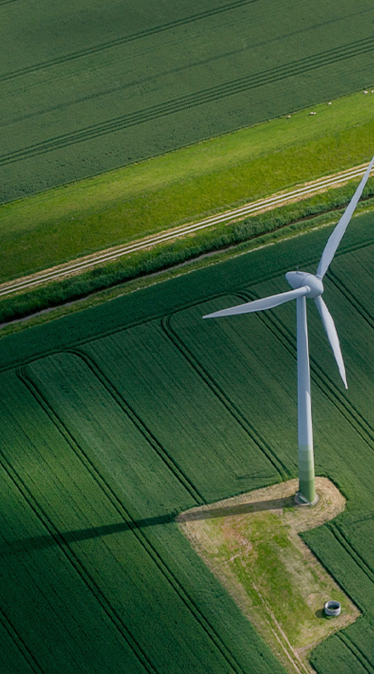 Windrad auf grünem Feld