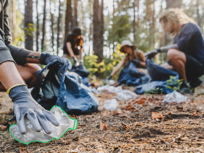 Personen sammeln Müll vom Waldboden