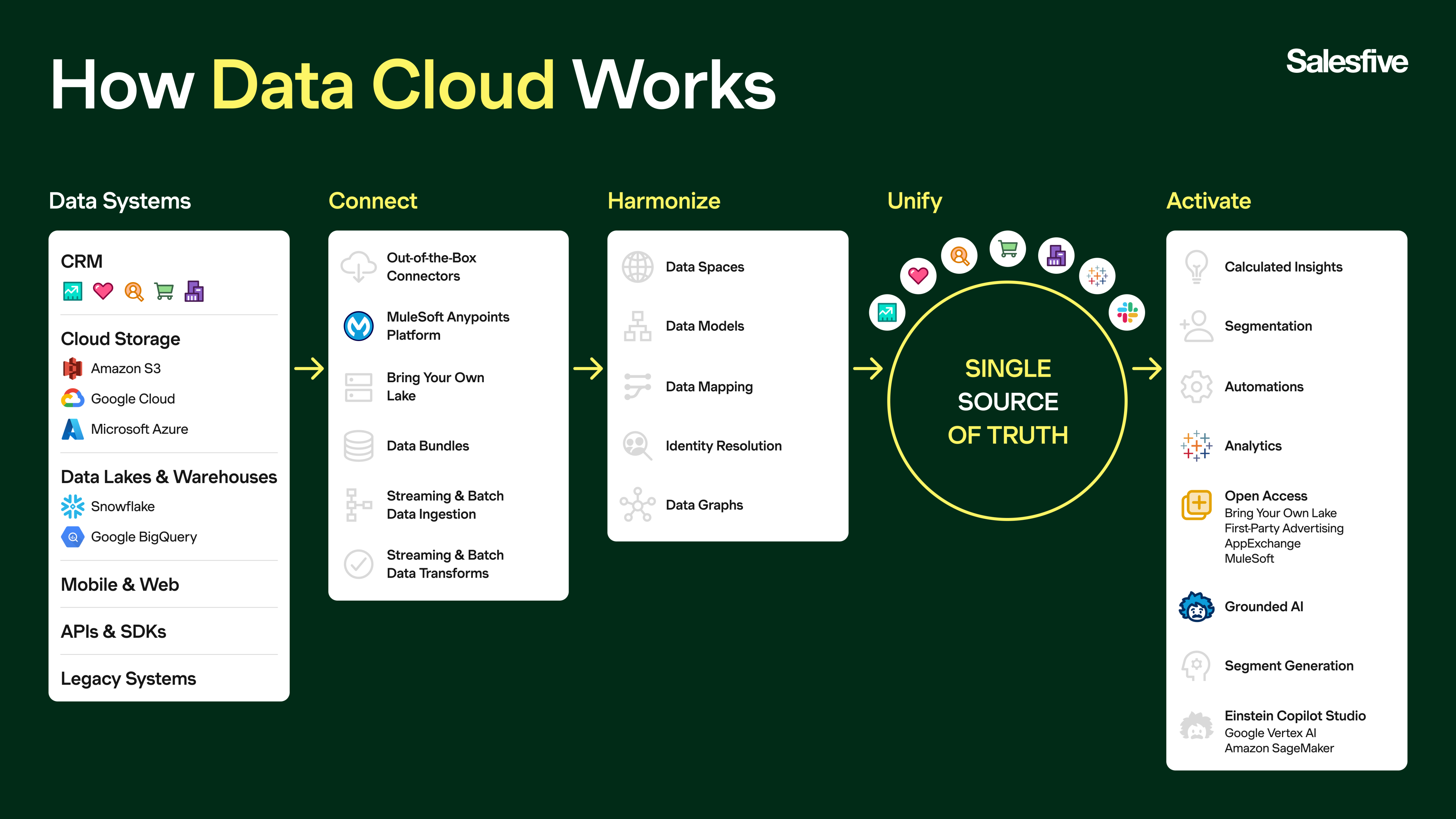 Visualization Salesforce Data Cloud