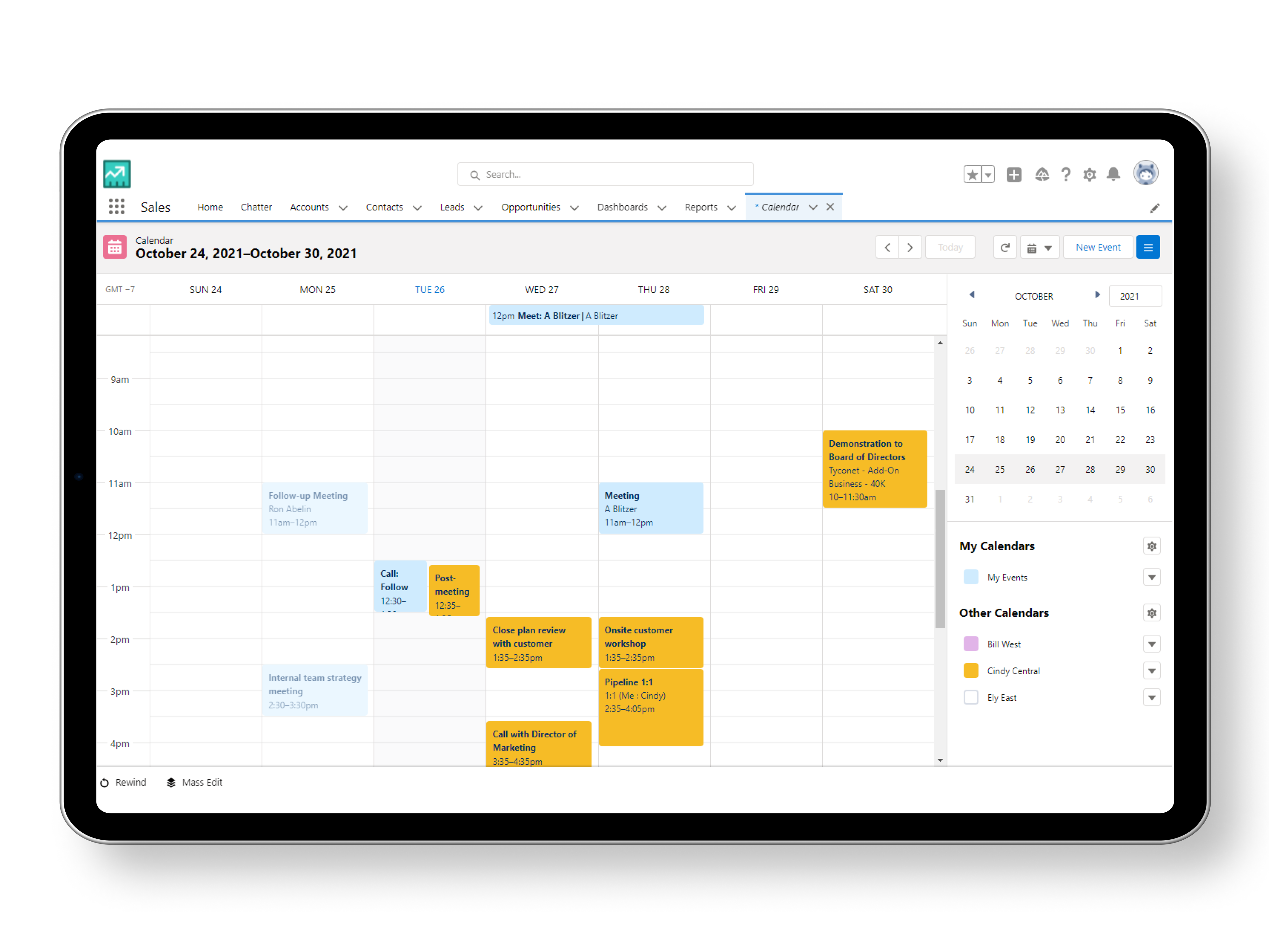 Screenshot eines Terminkalenders auf der Salesforce Maske. 