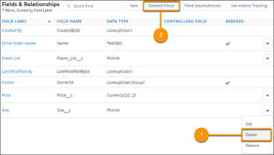 Manage deleted fields in Lightning Experience