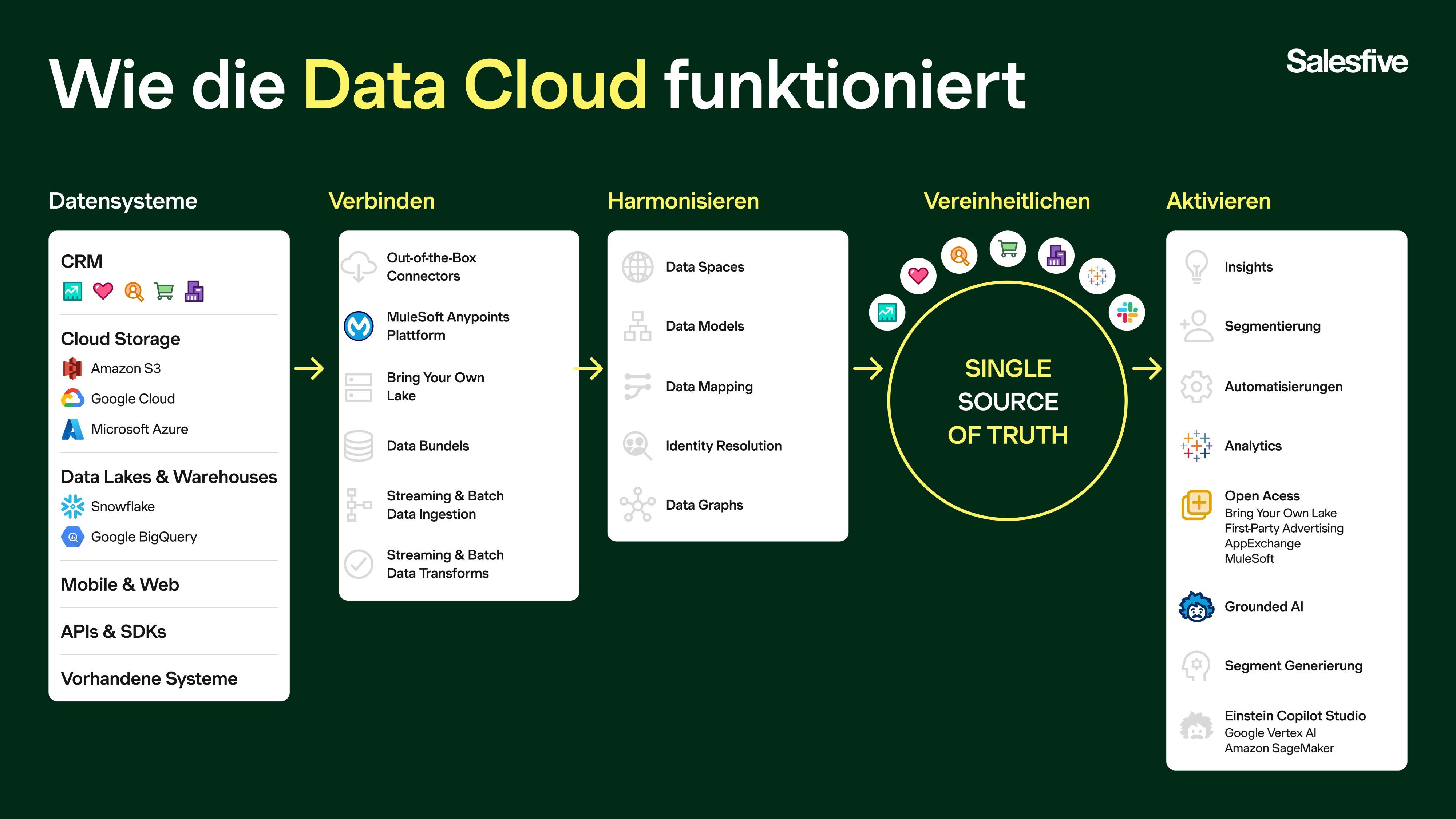 Visualisierung Salesforce Data Cloud