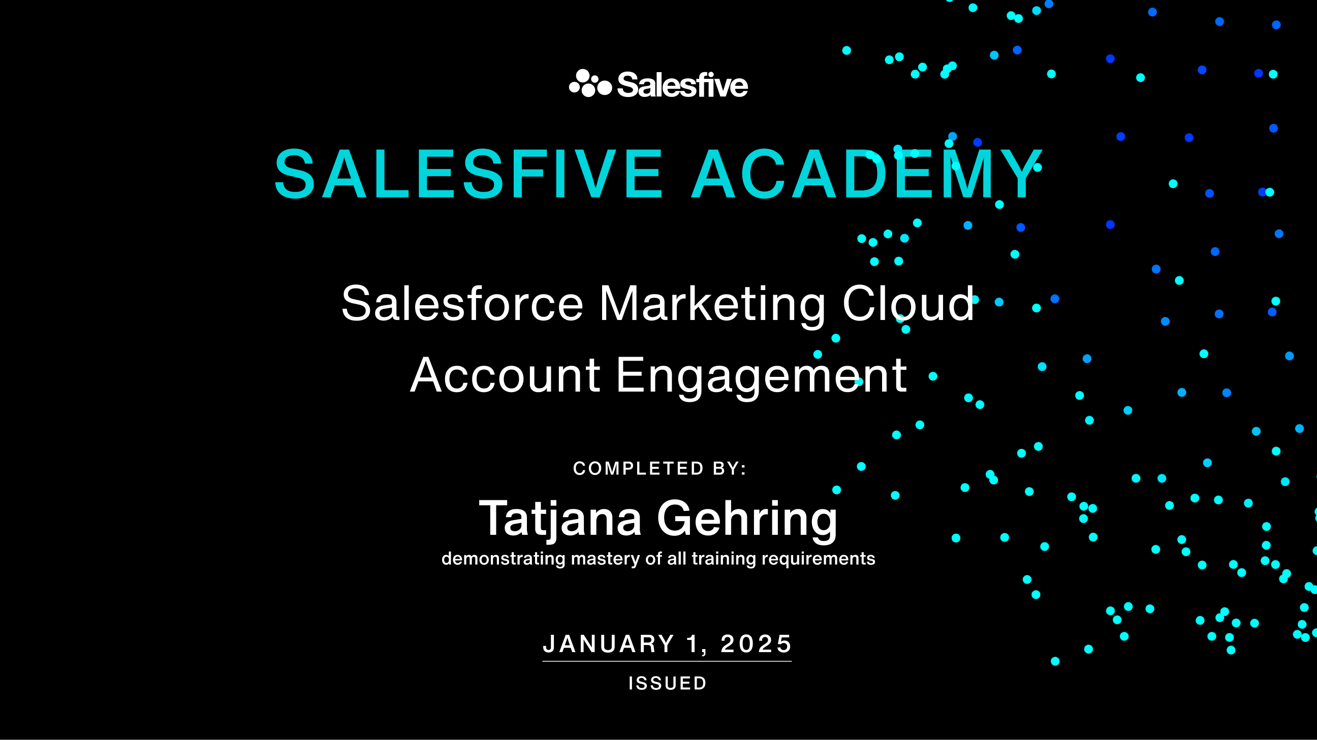 Beispiel eines Salesfive Academy Zertifikats