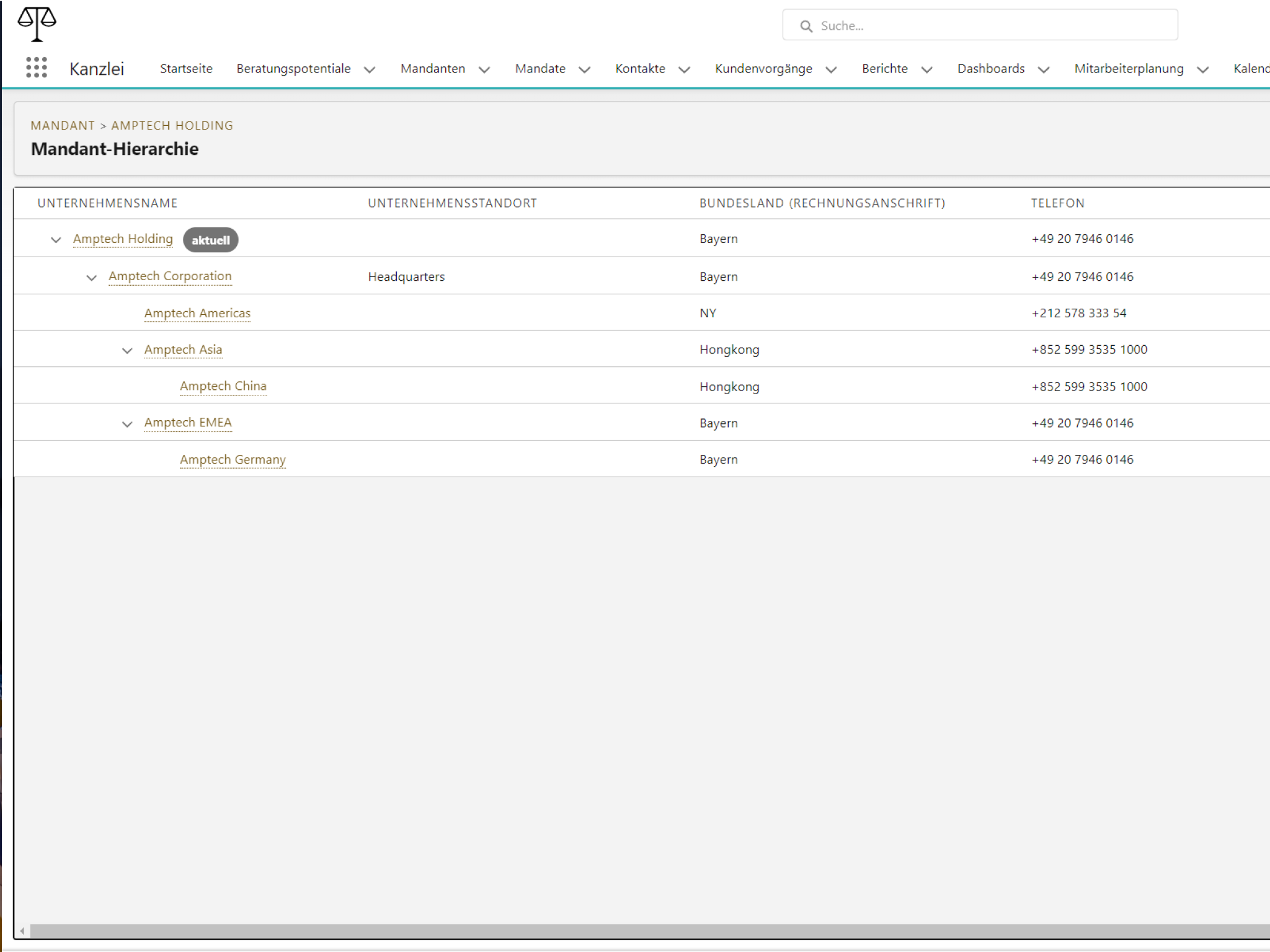 Screenshot von verschiedenen Mandanten und ihrer Hierarchieordnung – basierend auf der Salesforce Maske. 