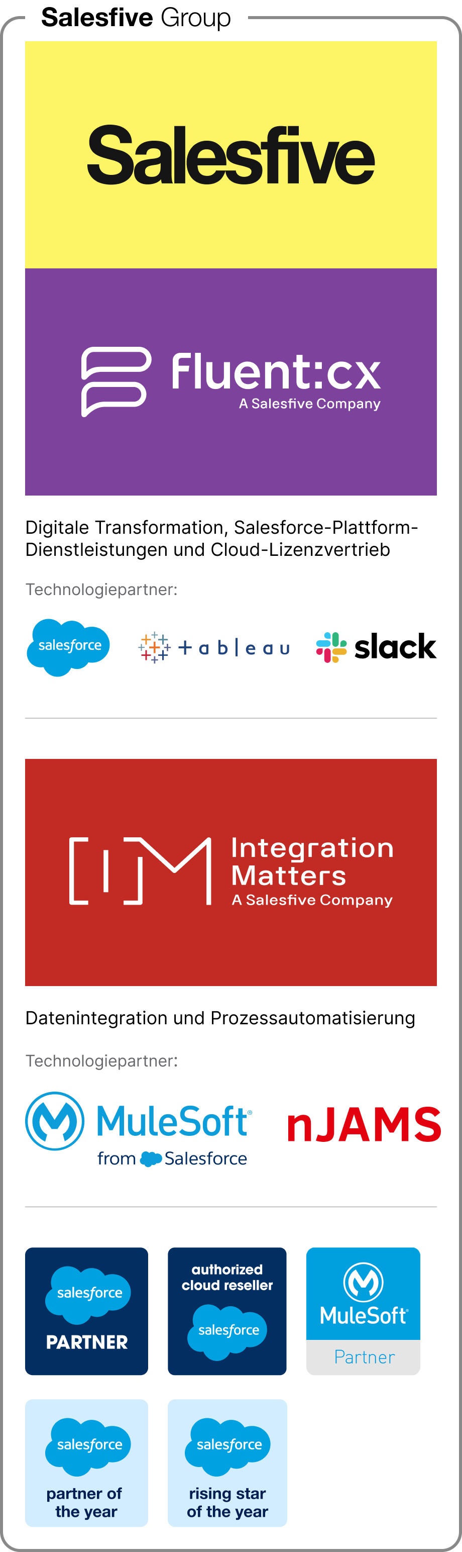 Leistungsübersicht Salesfive fluent:cx und Integration Matters