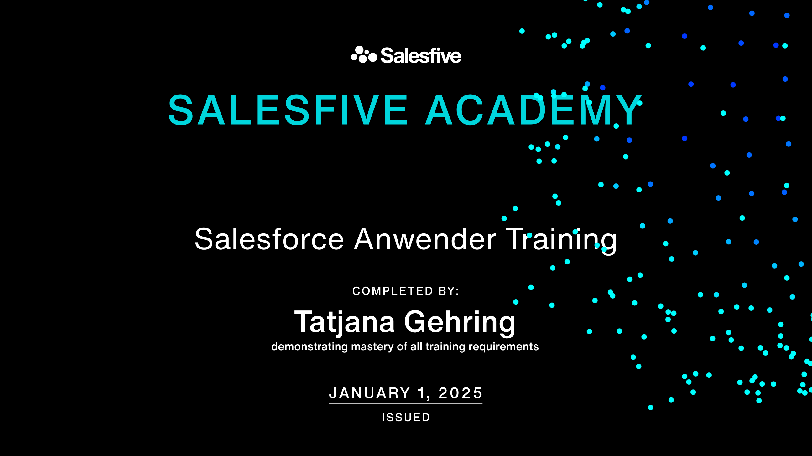Beispielzertifikat der Salesforce Anwenderschulung