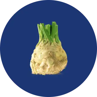 Celeriac in a blue circle.