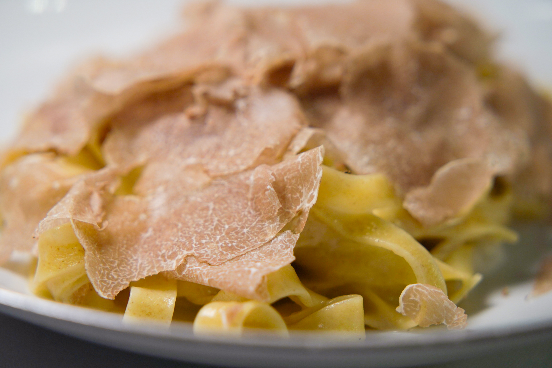 白トリュフ狩りとダヴィデ・オルダーニの最新パスタ | Barilla Japan