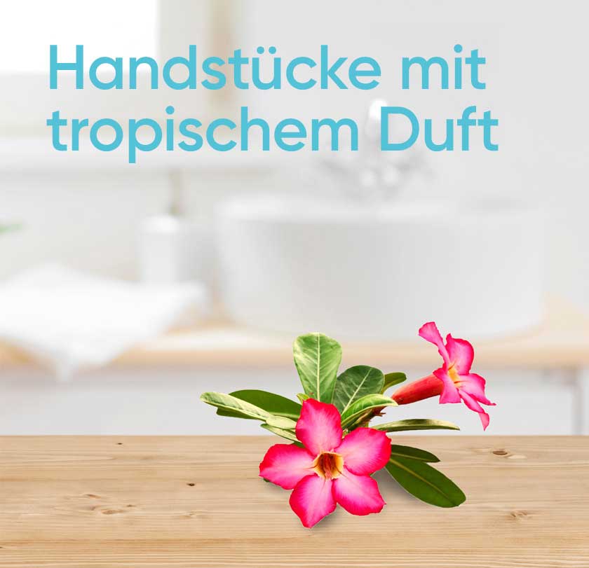 Tropische Blumen auf dem Holzbrett im Innenbereich