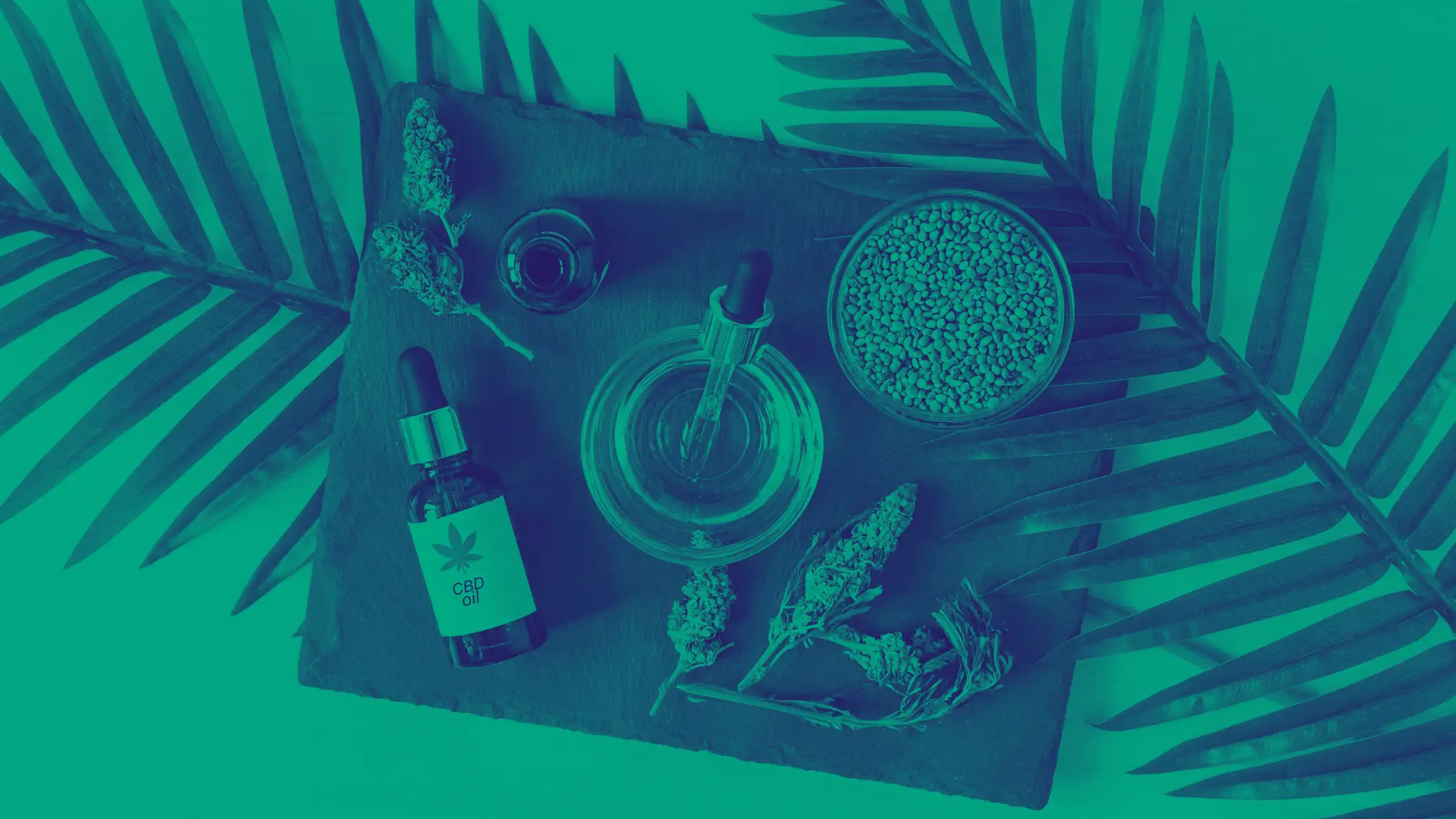 Canva%20Design%20DAEgSJ6JTgs