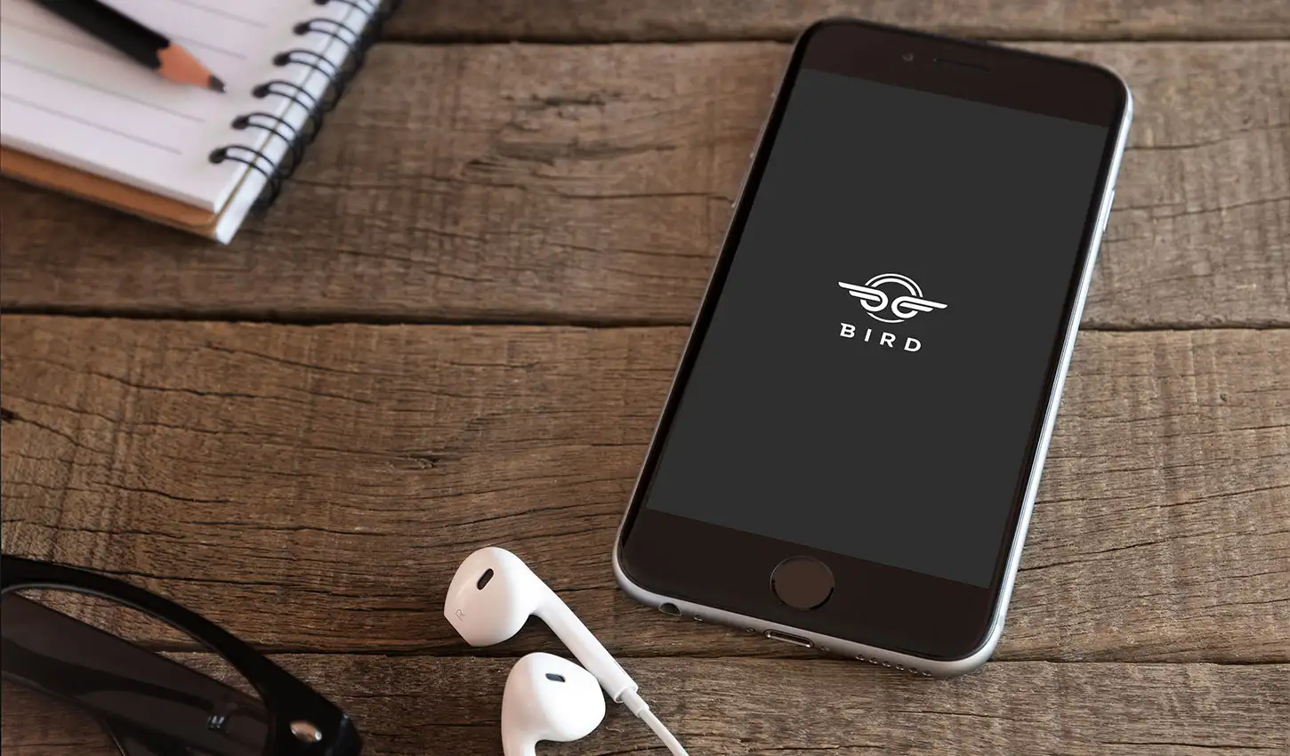 Bird Screenshot