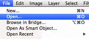 Open blank image in Photoshop