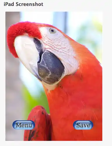 A poor screenshot example