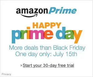 Evolution-of-Amazon-Prime:-Digitally-Advertising-an-Online-Shopping-Holiday-image-2