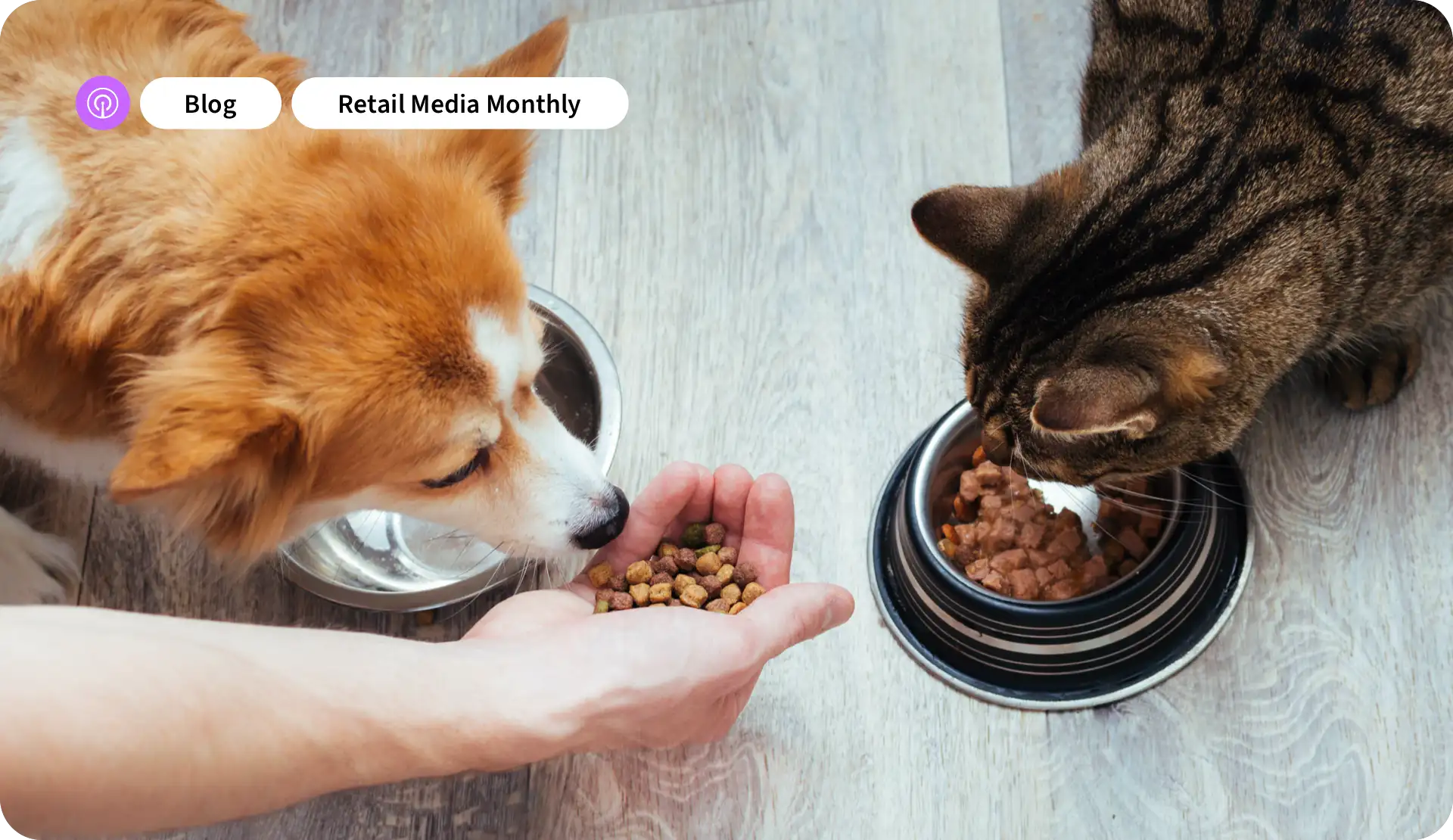 Pet Brands Retail Media blog image