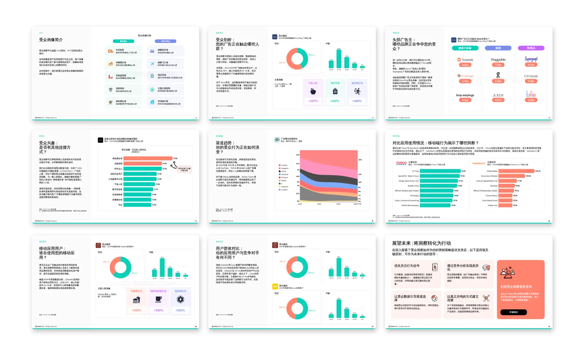 -CN- Audience Insights Playboook 2025 LP Pages