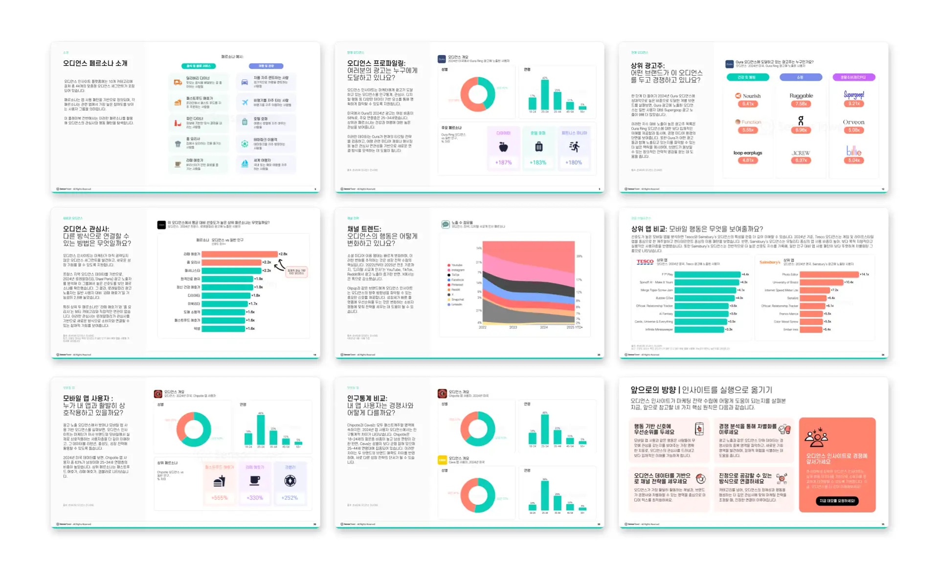 -KR- Audience Insights Playboook 2025 LP Pages