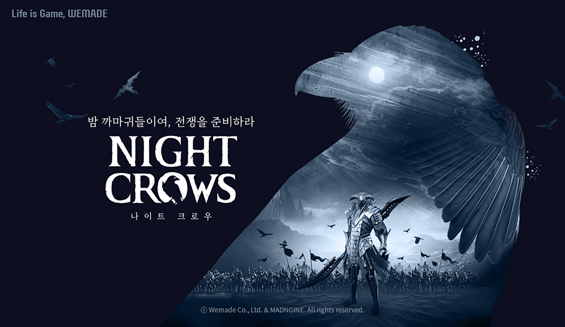 Night Crows_Cover Image