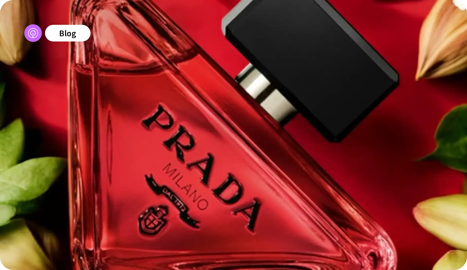 RMI - Fragrance Story hero image
